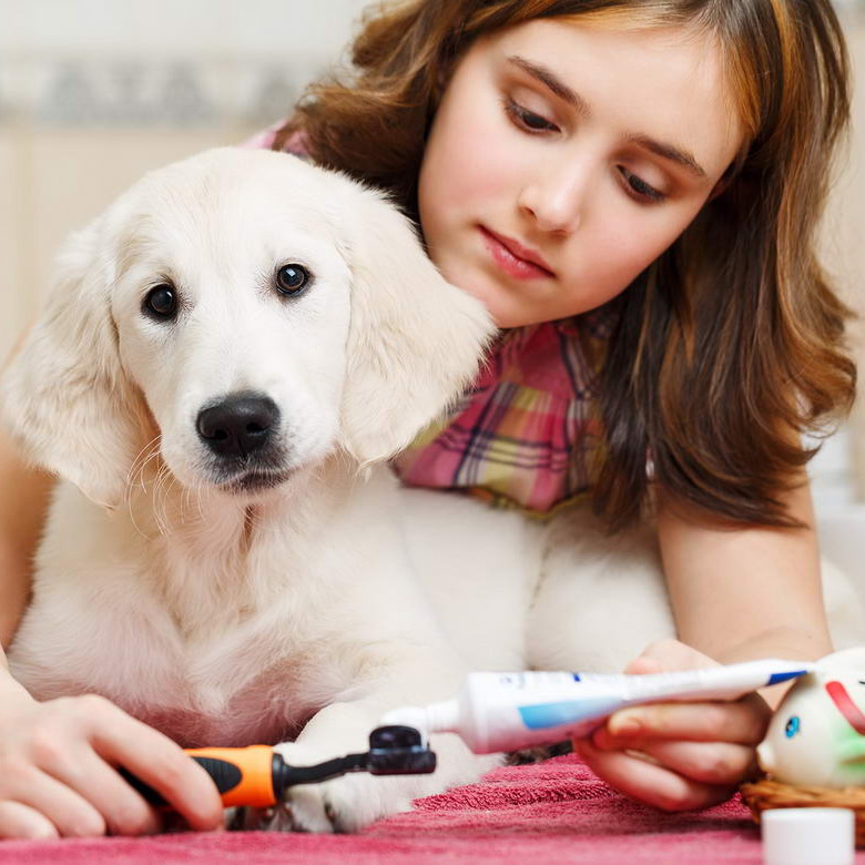 Consetetur sadipscing elitr