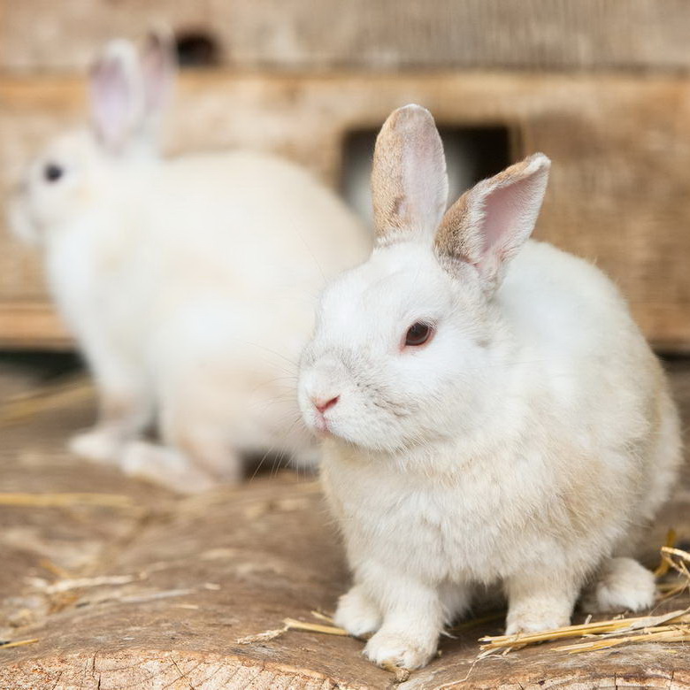 Diam et dolore magna aliquyam