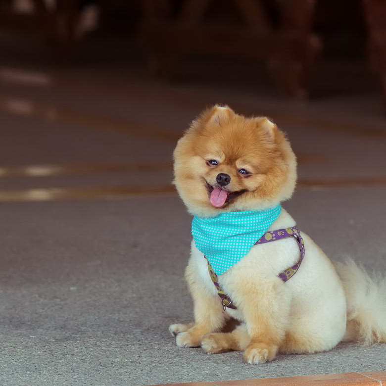 Sadipscing elitr sed diam