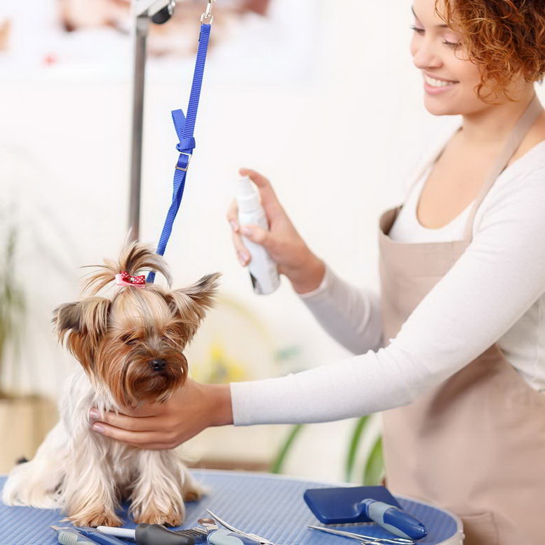 Ipsum dolor sit amet consetetur