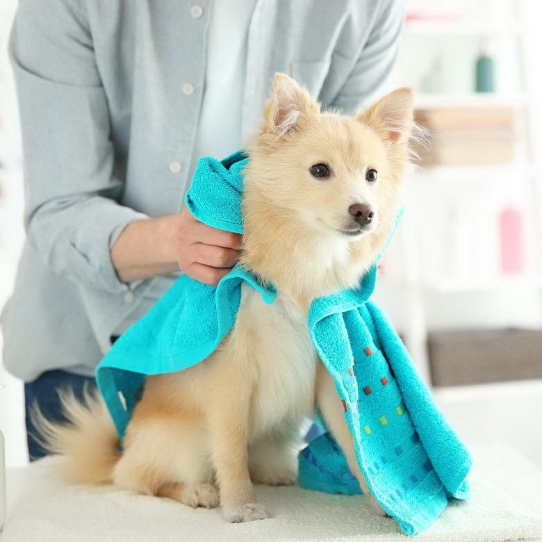 Magna aliquyam erased voluptua