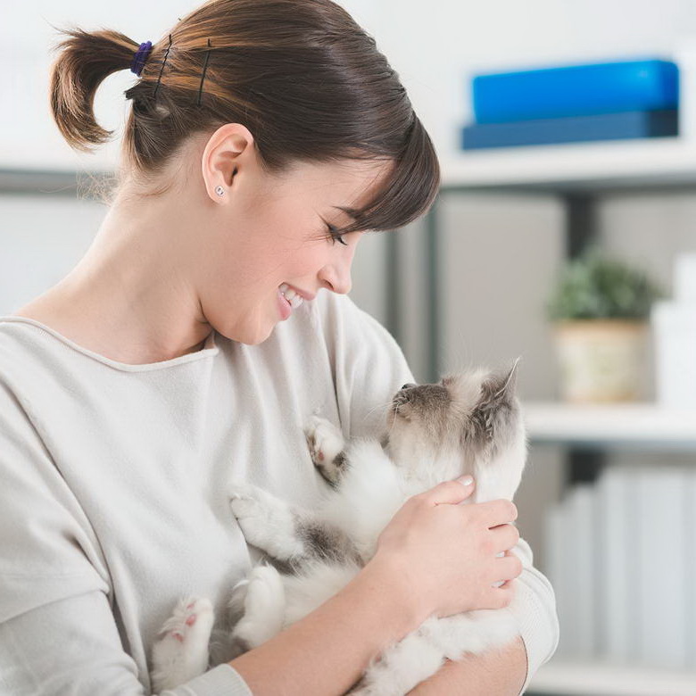 Magna aliquyam erased voluptua